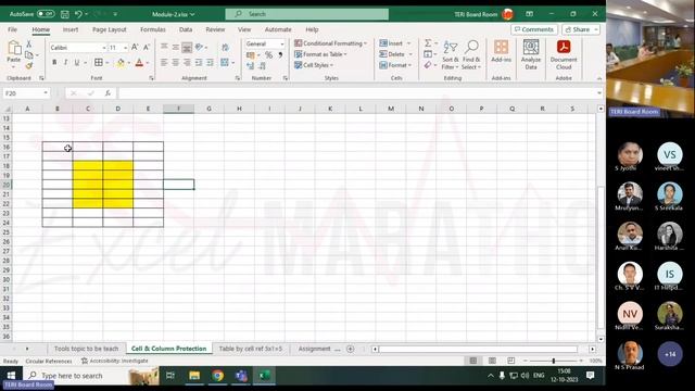 Clip -8 Cell Protenction form range #excelmarathon || Function || webinar смотреть онлайн