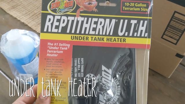 How to set up a EASY Snake Quarantine| Ball Python смотреть онлайн