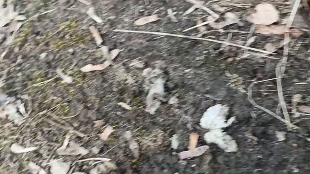 Перцовый газовый балон, брак или просрочка, тест. American style NATO super paralisant. смотреть онлайн