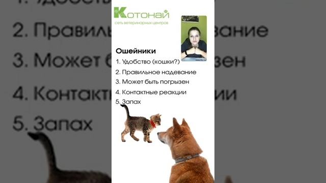 Обработки от паразитов смотреть онлайн