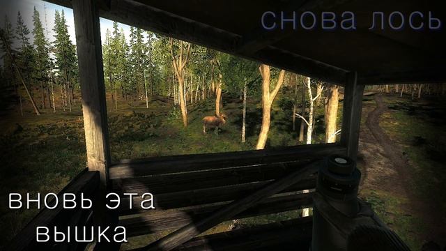 Белохвостые Олени, Молодой Против Старого. The Hunter Classic смотреть онлайн