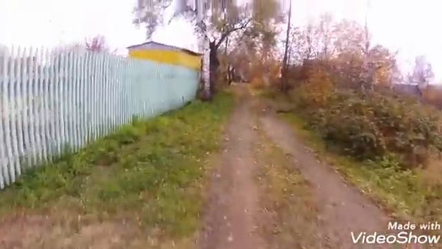 успешная рыбалка на даче