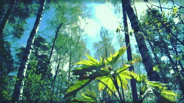 Dj Revolta - Alluring Distance