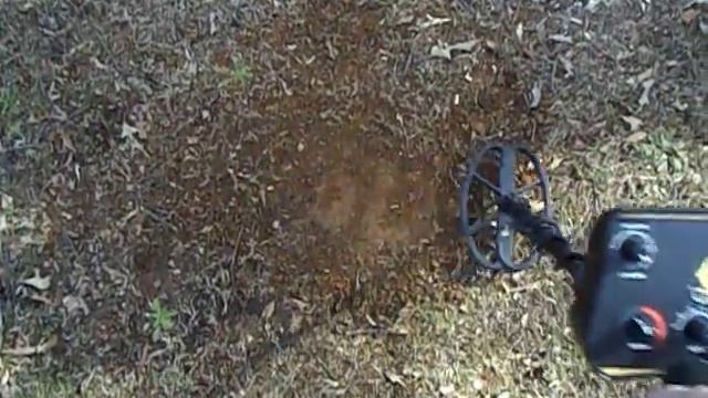 Deeptech Vista Gold Depth Test 11