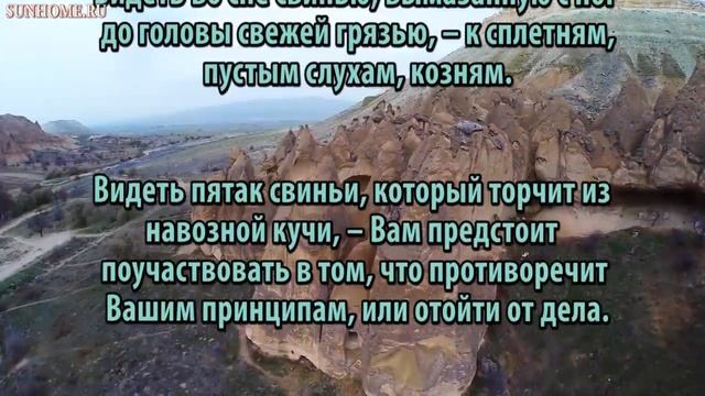 К чему снится Свинья сонник, толкование сна смотреть онлайн
