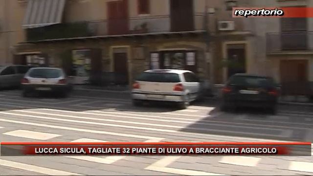 LUCCA SICULA, TAGLIATE 32 PIANTE DI ULIVO A BRACCIANTE AGRICOLO смотреть онлайн