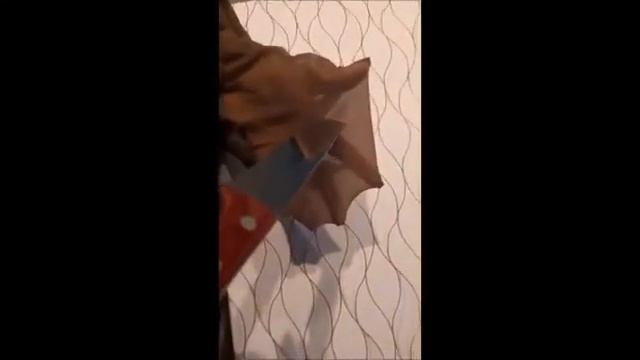 Колготки ела слим смотреть онлайн