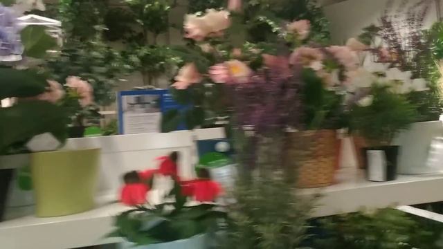 IKEA искусственные цветы/растения в горшочках смотреть онлайн