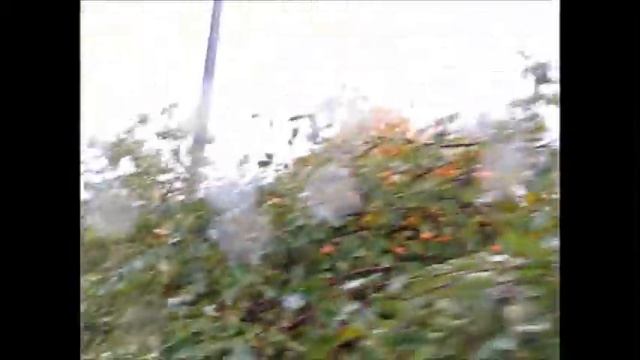 Видеосюжеты из Хельсинки. смотреть онлайн
