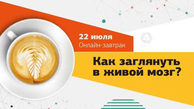 Онлайн-завтрак «Как заглянуть в живой мозг?» смотреть онлайн