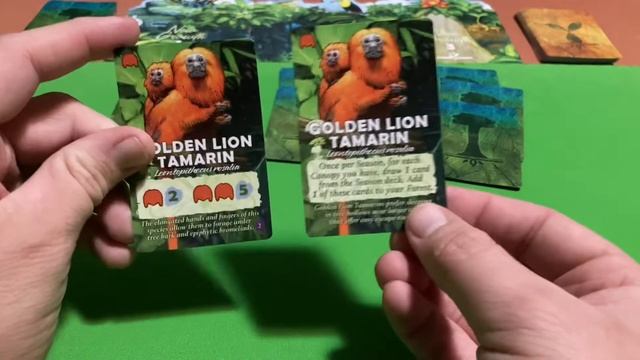 Canopy animals смотреть онлайн