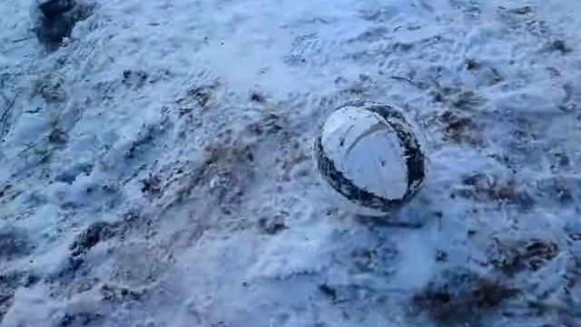 Лабрадор Багира Зима смотреть онлайн