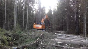 Обзор работы харвестера на базе CASE CX 210