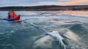 ХОЗЯЕВА ПЛАВАЮТ НА ГИДРОЦИКЛЕ \ БАНАНЕ \ ПРЫГАЮТ НА ПОДУШКУ