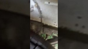 Соллерс Атлант. Первые косяки