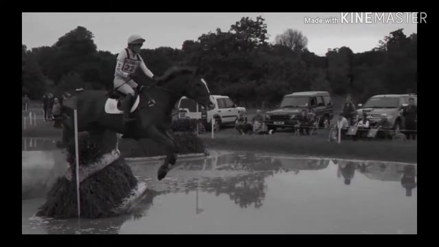 ~ Equestrian Sport ~ Dressage ~ Wild Horse ~ Конный спорт ~ Выездка ~ Дикие лошади ~ Madness ~