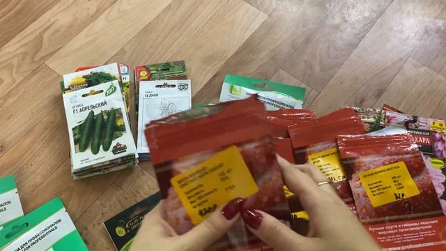 Семена на 2024 год. Профессиональные семена