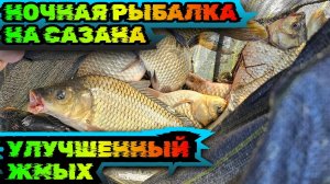 Ночная рыбалка на САЗАНА. Улучшенный жмых. Рыбалка в августе Астрахани 2024.