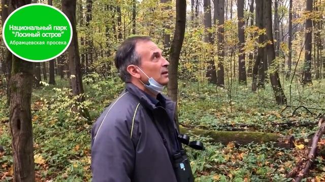 От Бабаевского пруда до Яузы! смотреть онлайн