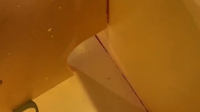 домик для кошек уличный недорого с Алиэкспресс смотреть онлайн