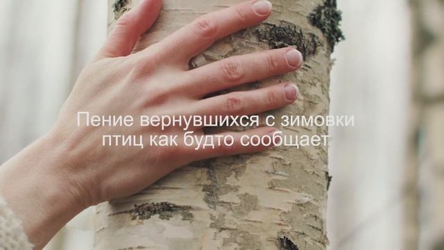 Раскрываем секрет коллекции NORDIC HYDRA [LÄHDE] смотреть онлайн