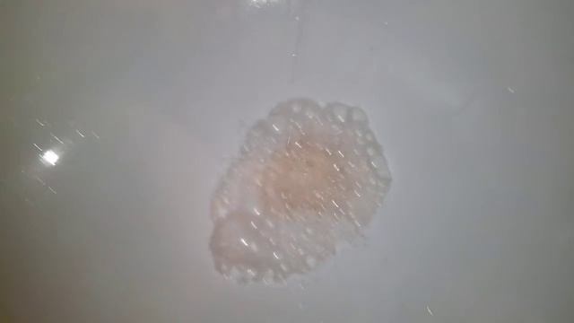 Дом, кухня и ванна: советы по уборке, ремонту и уходу