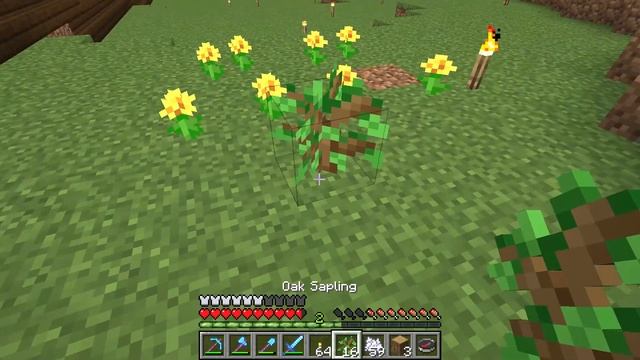 Creating your own Bee Hive with saplings and bone meal - Minecraft смотреть онлайн