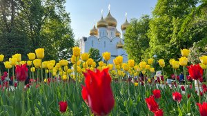 Ярославль. День города 2023???Как отдыхают и празднуют День города ярославцы и гости города.