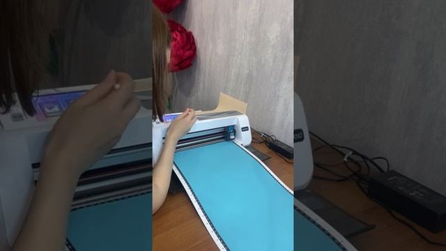Прямой эфир . Мой опыт работы с плоттером Brother 300 смотреть онлайн