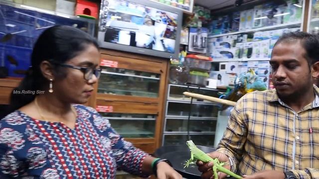 கண்ணைப் பறிக்கும் Exotic Pets, Python, Iguana, Crabs and Axolotl | Karnataka Aquarium Part-2 смотреть онлайн