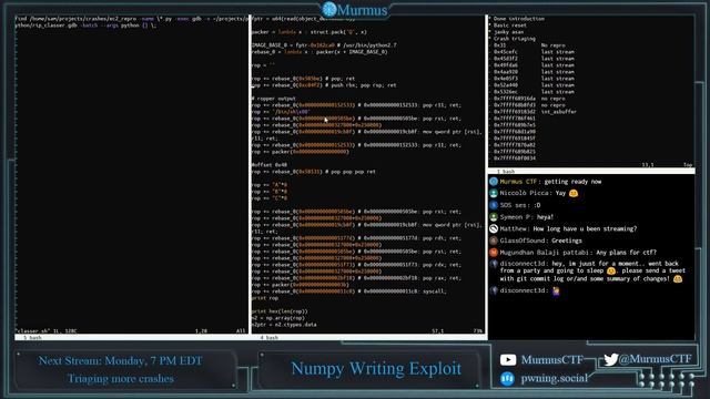Stream Recording: numpy 0-day hunting with custom fuzzer #8 смотреть онлайн