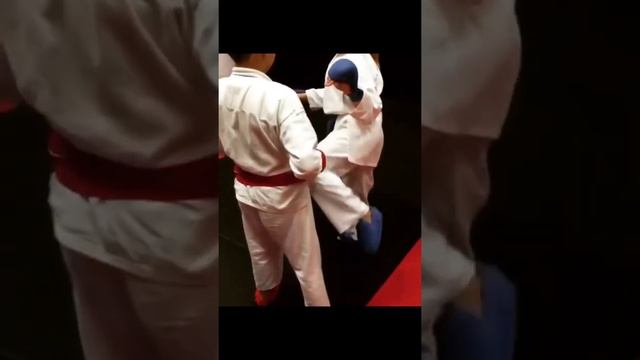 Karate Fight Technique Practices