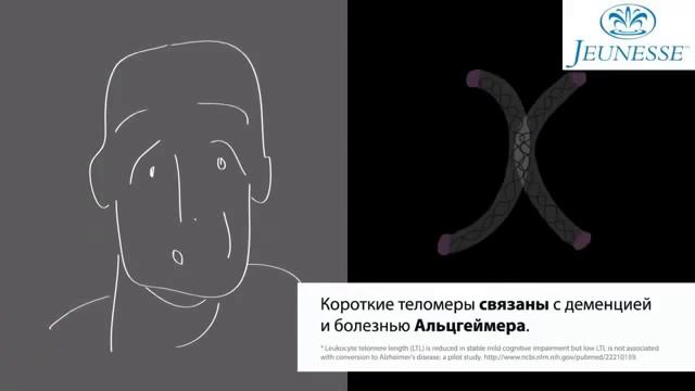 JEUNESSE! Теломеры и теломераза Их влияние на продолжительность жизни смотреть онлайн