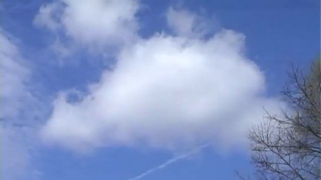 Облака дельфин смотреть онлайн