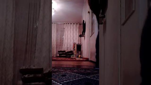 Маленкий мяч пушка смотреть онлайн