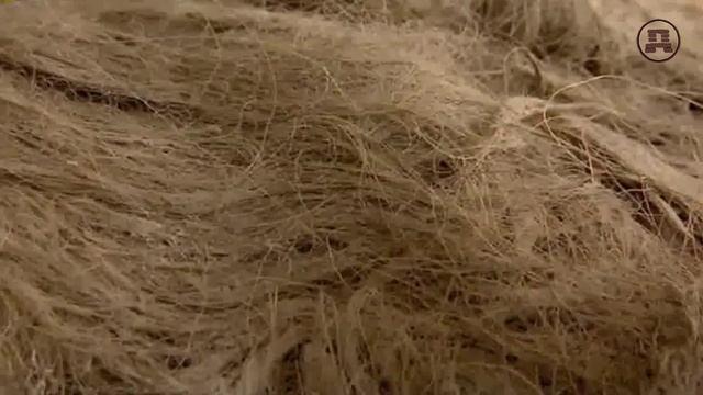 Костёнки смотреть онлайн