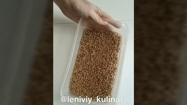 Как прорастить пшеницу? смотреть онлайн