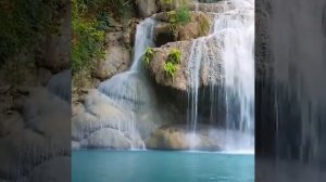 Водопад🌊 Пение птиц