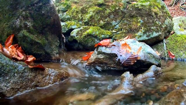 шум текущего ручья смотреть онлайн