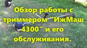 Недорогой китайский бензиновый триммер для травы (бензокоса) надёжно работает в женских ручках.