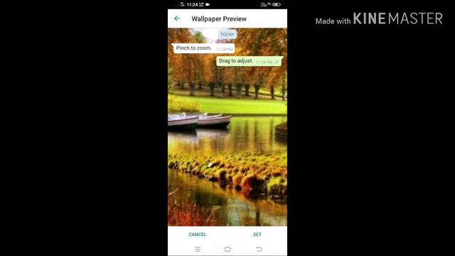 How To Change WhatsApp Chat Wallpaper On IPhone  # Android#apple