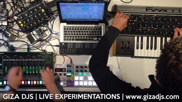 gizA djs Live excerpt ( moog sub37 + minitaur + roland tr8 + beatstep ) смотреть онлайн