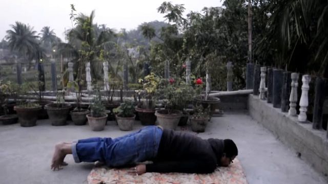 Салабхасана смотреть онлайн