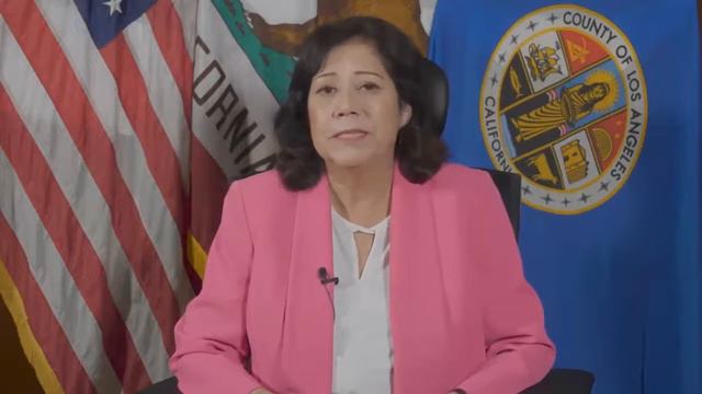 Navigating LA County & Metro Contracting Opportunities w/ Supv. Hilda Solis, 1st District - Recap смотреть онлайн