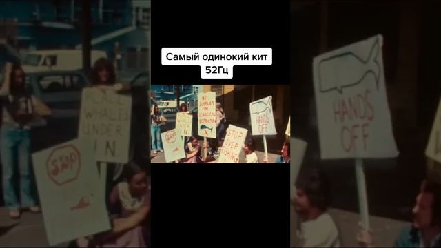 Самый одинокий кит 52 Гц смотреть онлайн