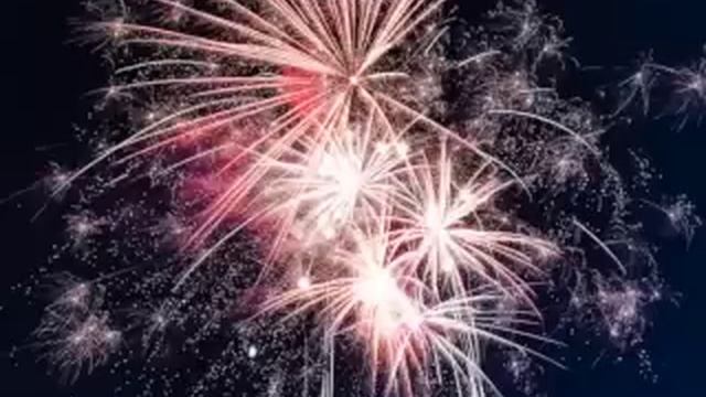 Firework Sounds For Dogs смотреть онлайн