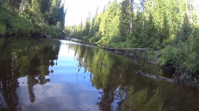За хариусом в тайгу Республики Коми/дикая природа, отличный улов!Fishing for grayling! смотреть онлайн