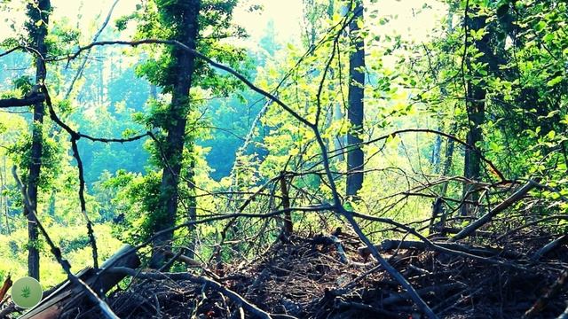 Расслабляющая музыка для снятия стресса и тревоги Спокойные мелодии для нахождения внутренней гармо смотреть онлайн