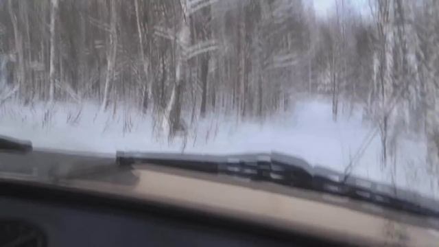 покатушки 17.01.2016