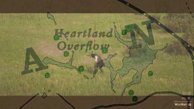 Best Wild Mint Location in RDR2 - Red Dead Online - RDO Wild Mint locations смотреть онлайн